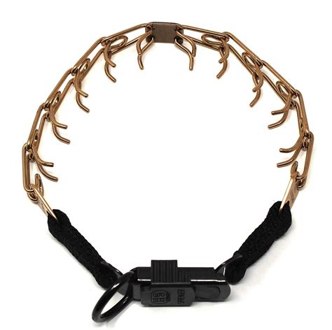 sprenger prong collar for dogs.